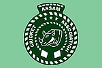 teamflag